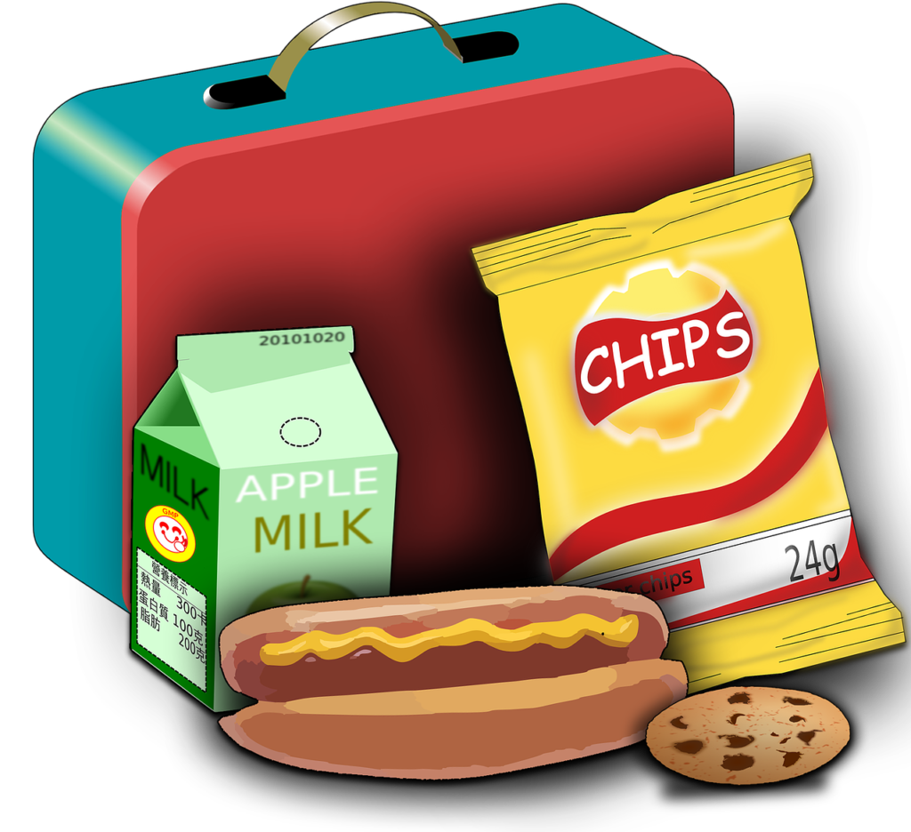 lunchbox, lunch set, school lunch-1375317.jpg